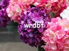 Jedwabny pojedynczy trzpień hortensja 76cm2992 Quot Długość sztuczne kwiaty Europejska hortensja duża głowica kwiatowa na ślub Centrum 6733112