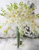 1つの偽の蘭の花Phalaenopsis中規模の蘭理学的シミュレーション蘭5色の結婚式の花のデコロンのための偽の花