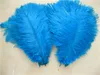 HELA 100PCSLOT 1214INCH3035CM TURQUOSE OSTRICH FEATHER PLUMETABLE CENTERPIECE EBENT SUPLPLY Party Festive Decor9943886