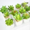 12pcs/pack spring autumn series bonsai flower pots planters artificial green plants mini ceramic pots flower vase