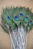 long peacock feathers