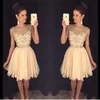 Homecoming Dresses Lace Applique Crystal Beading Short Graduation Dress With Jewel Neck Zip Back Short Length Formal Party Ball Gowns