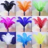 Wedding party Supply Ostrich Feather 100pcs/lot Plume wedding centerpieces table decoration Many Sizes for You To Choose