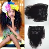 Afro Kinky Curly Clip In Human Hair Extensions Virgin Brasilian Curly Human Hair Clip In Extensions 10 "-26" Kinky Curly Clip Ins