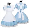 Japanska bästsäljande tjusiga tjejer Alice i underlandet Fantasy Blue Light Tone Lolita Maid Outfit Maid Costume Maid Dress