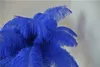 Whole 100 pcslot 1416inch Royal Blue Ostrich Feather for wedding centerpieces feather centerpiece wedding decor9333930