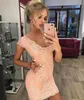 2019 Cheap Pink Lace Cocktail Dress Sheath V Neck with Detachable Train Semi Club Wear Homecoming Party Gown Plus Size Custom Make