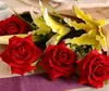 Venta caliente Soltero Flannelette Rose Simulación Flores de seda Partido Inicio Fiesta Decoración de la boda Ángulo del regalo del día de San Valentín al por mayor FAH002