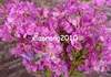 Silk Bougainvillea 120cm/47.24 "Längd konstgjorda blommor Bougainvilleas Spectabilis Willd Wintersweet Plum Blossom för bröllopsblomma