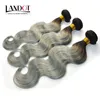 Hot New Ombre Silver Grå Human Hair Extensions Två Tone 1B / Grå Brasiliansk Peruansk Malaysisk Indisk Body Wave Virgin Hair Weave Bundlar