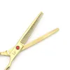 Hair scissors 7 INCH Cutting scissors 65 INCH Thinning shears LYREBIRD Golden Dog Grooming scissors NEW3049719