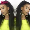 Brazilian Kinky Straight Wig Full Lace Human Hair Wigs for Black Women Pre Plucked with Baby Hair