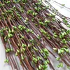 Hurtownie 40 cm DIY ładny Pip Berry Stem do Kwiatowego ArranManet Crafts Wedding Garland Decoration Akcesoria