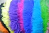 HELA 100PCSLOT 1214INCH3035CM Vit Royal Blue Red Black Turquoise Orange Gold Green Purple Ivory Gold Ostrich Feather2879691