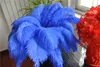 HELA 100PCSLOT 1214INCH3035CM Royal Blue Ostrich Feather Plume For Wedding Centerpiece Home Decor1101856