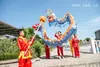 tamaño de los niños Chapado en oro azul CHINESE Kid DRAGON DANCE Folk Festival Celebration Costume