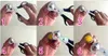 500 stks Hot Sale Pigeon Quil Egg Scissor Rvs Bird Cutter Opener Keuken Tool Clipper # 8213