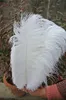 100 pcslot 1618inch3540cm white Ostrich Feather plumes for wedding centerpiece wedding party event decor festiv3125789