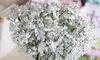 Ny Ankomst Gypsophila Babys andetag Konstgjorda Fake Silk Blommor Växt Hem Bröllopsdekoration