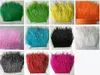 10yard lots Muticolor Long Ostrich Feather Plumes Fringe trim 8-10cm Feather Boa Stripe for Party Clothing Accessories Craft289x