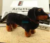 Dorimytrader Pop Realistic Animal Sausagedog Plush Toy Stuffed Dachshund Doll Dog Toys Gift Decoration 40cm DY61800