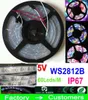 5 m 5V 60LED / M 300LEDS programmeerbare WS2812B RGB 5050 LED Strip Digitale Individueel adresseerbare Magic Dream Color Waterproof IP67