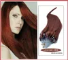 Partihandel --5A 14 "-24" 1G/S 100G/PACK 33# Dark Auburn Indian Remy Human Loop Hair Micro Ring Hair Extensions DHL Free Shpping
