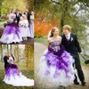 Purple and White Ombre Gothic Wedding Dresses Strapless with Lace and Organza Appliques Cascading Ruffle Chapel Train Ball Gown Bridal Dress
