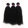 Verkauf von brasilianischen, tiefwelligen, reinen Haarbündeln, 4 Stück, Los 100, lockiges reines Haar, Fabrikverkauf von billigem Webart, onl2995333