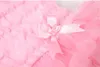 New Pink Baby Girl Onesies Lace Tutu Dresses Newborn Infant Jumpsuit Flowers Fashion Summer Sets Rompers and Headband baby Costume4615849