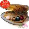 4 pärlor naturskal pärlor 6-7mm vakuum packade runt japanska akoya pärla oyster 28 färger pärla oyster skal önskar smycken gåvor