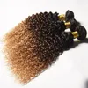 3 buntar ombre kinky curly 1b427 färg mänskliga hårförlängningar afro kinky curly brasilian jungfru människa hårbuntar3704873