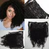 Afro Kinky Clip In Hair Extensions Brazilian Hair Extensions Afro Kinky Curly Clips In Unprocessed Virgin Human Hair Free Ship