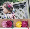 Girls Flowers Hair Accessories Boutique Hair Bows 2016 New Children Hair Clip Crown Princess Hairpin Children Party Accessories H085