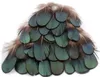DIY Handwerk grünes Kupfer Huhn Grünspan natürliche Federn Pro Reinigungsfedern DIY Schmuck Tasche Halskette Stirnband 47 cm Tropfen