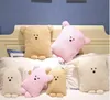 Ziyu Doug Bear Triangle Bear Hold Plush Puluch Cushion Plysch Toys Soft Handfeel9008965
