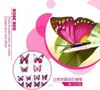 Symulacja 3D Butterfly Dekoracja PCV Naklejki ścienne Lodówka Magnes 12 garnitur dla OutoorgardenbalCony8734418