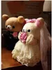 Casal inteiro vestido huaband esposa rilakkuma urso casamento bonecas brinquedo presentes 10inch8519115