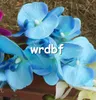 Jedwabny Single Stem Orchid Flower Sztuczne kwiaty Mini Phalaenopsis Motyl Orchidee Różowy / Kremowy / Fuksja / Niebieski / Zielony Kolor