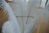 Gratis frakt Billiga White Ostrich Feather Plumes 14-16INCH (35-40cm) Wedding Centerpieces Decor Feather Centerpiece Party Decor