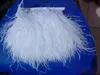 10 Yardslot White Ostrich Feather Trimning Fringe på satinhuvudet 67 tum i bredd2798790