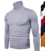 Haute Qualité Casual Pull Hommes Pulls Mode Automne Hiver Tricot À Manches Longues Col Roulé Tricots Chandails Multicolore M-XXL T170730