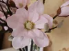 Fleurs artificielles Magnolia Fleurs Cérémoniblement Simulation Fleurs Solitaire Accueil Décorations à la maison Home Blanc Rose Magnolia gratuit SF014