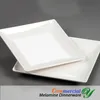 Melamine Diner Plates Gerechten Outdoor Picknick Servies Bruiloft Buffet Serveerlade 8.5 Inch White Square Sushi Salad Dessert Plastic Platen