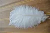 100 PCS 1618inch純粋な白いダチョウの羽毛羽結婚式のためのセンターピース装飾コスチューム装飾供給1850659
