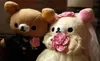 全カップルのドレスHuaband妻Rilakkuma Bear Hearding Marrias Dolls Toy Gifts10Inch6390804