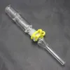 Mini nectar collector glazen waterpijp bubbler waterpijp met glazen punt nagel en keck clip