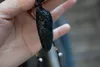 Naturalny ciemnozielony jade, ręcznie rzeźbione, Cicadas (zapierający dech w piersiach) naszyjnik