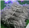 Strings 280 LED Curtain Light 3m*2m 110 220V Christmas Xmas Outdoor LED String Fairy Lights Wedding Party Decoration Lamps au eu us uk pl