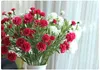 Konstgjorda Carnations Konstgjorda Silk Flower Carnation Mors gåva Hem Deco Lycklig mors dag RealCarnation Nylon Flower